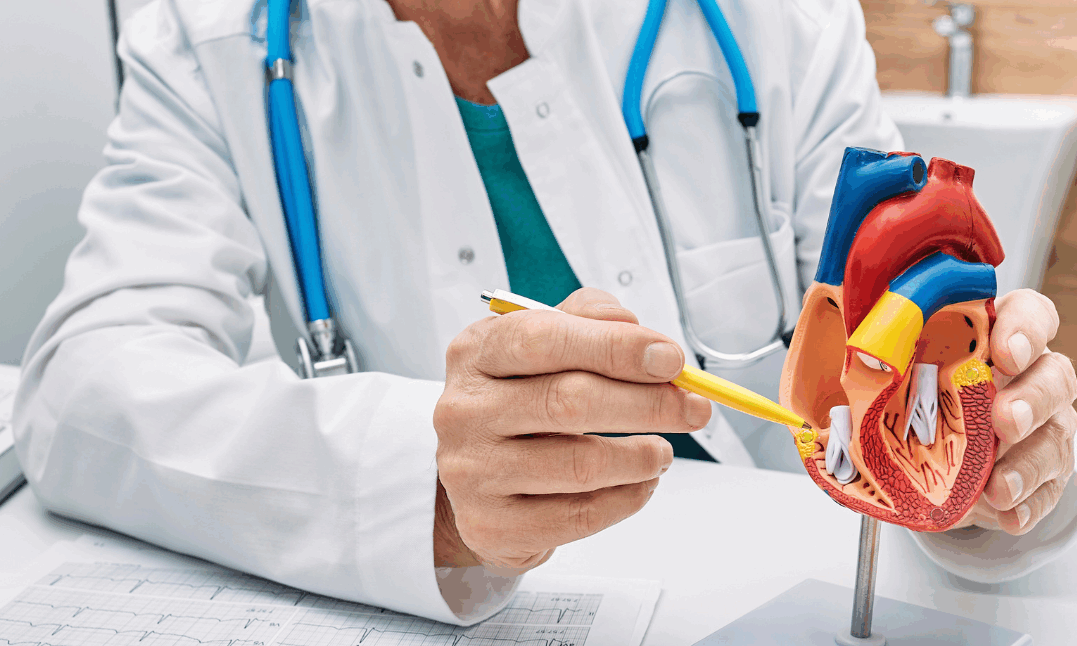 Cuidar do seu Coração com Informação, Prevenção e Atenção Personalizada Na clínica do Dr. Daniel Só, cardiologista em Nova Iguaçu, acreditamos que a prevenção é o melhor caminho para um coração saudável. A consulta vai além dos exames: aqui você recebe orientações claras sobre o funcionamento do seu coração, com base em eletrocardiogramas, exames clínicos e educação em saúde cardiovascular. O atendimento é individualizado e acolhedor, com explicações acessíveis e acompanhamento contínuo. Nosso objetivo é que você entenda seu quadro clínico e tome decisões conscientes sobre sua saúde. 💓 Agende sua consulta e cuide do seu coração com quem entende do assunto! Palavras-chave SEO incluídas: Cardiologista em Nova Iguaçu Consulta com cardiologista particular Acompanhamento cardíaco Exames de coração com explicação detalhada Eletrocardiograma em Nova Iguaçu Prevenção de doenças cardíacas Saúde cardiovascular com atendimento humanizado Médico especialista em coração
